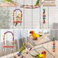 5in1 Bird Parakeet Toys, Detachable Birdie Perches Platform Swing with Climbing Ladder, Parrot Cage Stand Accessories, Wooden Playing Gyms for Conure Cockatiel Lovebird Finch Budgerigar Pigeon