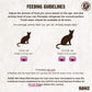 Rawz Natural Premium Pate Canned Cat Wet Food - Made with Real Meat Ingredients No BPA or Gums -3 oz Cans (Case Pack of 18) (Rabbit)