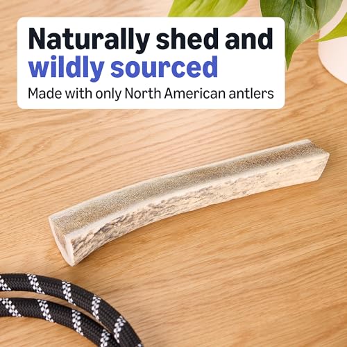 Basics Split Elk Antler, Naturally Shed, Long Lasting for Aggressive Chewers, Large (Best for Dogs 30-45 lbs) (Previously Wag)