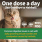 Just Try Cat Treats for Indoor Cats Hairball Control Natural Salmon Healthy Cat Grass Treats Kitten Snacks Training Biscuits Catnip for Cats Dental Care 13.4 OZ
