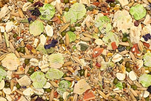 Bunny Nature HamsterDream Expert Food - All Natural Mix for Syrian & Dwarf Hamsters with Mealworms - Supports Foraging & Digestion - No Pellets, 1.1 lbs