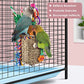 KATUMO Bird Toys, Parrot Grass Basket and Shredding Foraging for Parakeets, Cockatiels, Conures, Small and Medium Bird Cage Accessories