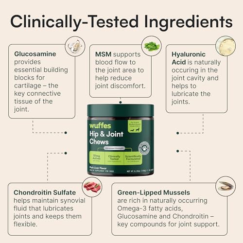 Wuffes Advanced Dog Hip and Joint Supplement with Glucosamine, Chondroitin, Omega 3, MSM, and Green Lipped Mussel, 60 Pork Flavored Chews for Small and Medium Dog Breeds