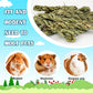 25pcs Rabbit Timothy Hay Toy for Bunny Small Animal Treats Natural Grass Stick Chew Toys Snacks Molar Teeth Grinding for Guinea Pigs Chinchillas Hamsters