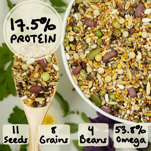 Feather Shine High Potency Blend with Bee Pollen & Freeze-Dried Sprouts - Premium Parrot Food for Molting, Breeding & Growth - Omega Rich | 17.5% Plant Protein | USA-Made