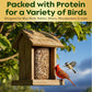 Mealworm Bird Seed Cylinders with Hole – Premium Mealworm Birdseed Log – Sunflower Chips & Dried Mealworms for Wild Birds – Natural High Energy Seed Cylinder – No Fillers – USA Made (4" x 7.75")