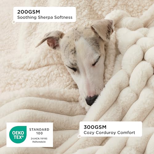 Bedsure ComfyFleece Waterproof Dog Blankets for Large Dogs - Soft Pet Cat Blanket Corduroy Fleece for Couch Bed Protector Washable, Cozy Calming Reversible Furniture Protection,50"x60", Cream