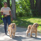 Caldwell's Pet Supply Co. Leash Coupler, Two Dog Leash Splitter to Split Leashes for Walking 2 Dogs, Tangle Free Double Dog Leashes Connector