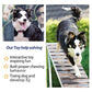 Fida Dog Rope Toys 4 Pack, Puppy Teething Sturdy Cotton Chew Tug Ropes Indoor/Outdoor, Exercise Interactive Tug O'War Toys Set for Boredom