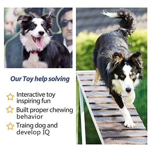 Fida Dog Rope Toys 4 Pack, Puppy Teething Sturdy Cotton Chew Tug Ropes Indoor/Outdoor, Exercise Interactive Tug O'War Toys Set for Boredom