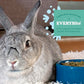 Oxbow Garden Select Rabbit Food, Adult Rabbit, Made with Oxbow Timothy Hay, Vitamin & Mineral Rich Pet Food Pellets, Bunny Supplies, Made in USA, High Fiber, 4 lb Bag