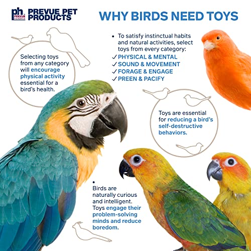 Pervue Pet Products Naturals Preen & Pacify Woodland Harvest Bird Toy 62549