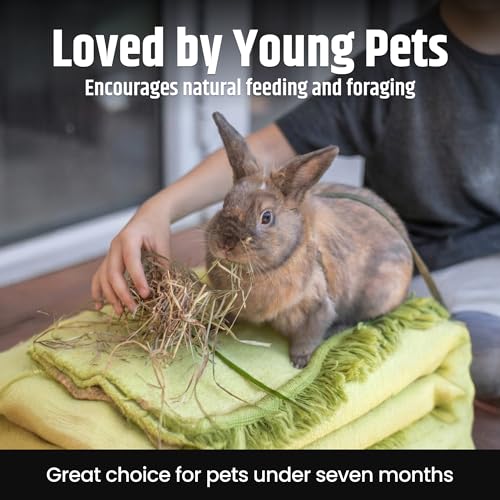 High Desert Alfalfa Hay, Protein Rich Soft Leaf Food for Young Growing Animals, Natural Rabbit Food and Guinea Pig Hay, Supports Digestive Health, Small Pet Supplies, Fresh Hand Packed 5 Lb Box
