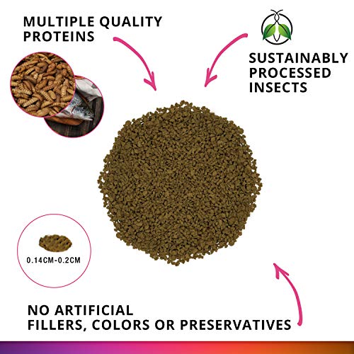 Fluval Bug Bites Color Enhancing Fish Food for Tropical Fish, Granules for Medium to Large Sized Fish, 4.4 oz.