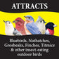 Wild Delight Advanced Formula Bugs N Berries Wild Bird Food 4.5 lbs