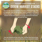 Oxbow Harvest Stacks, Western Timothy Hay with Chamomile, Guinea Pig Hay, Small Pet Bunny Supplies, Western Timothy for Rabbits, Guinea Pigs, Chinchillas, Hamsters & Gerbils, 35 oz.
