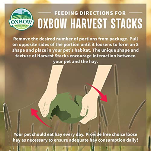 Oxbow Harvest Stacks, Western Timothy Hay with Chamomile, Guinea Pig Hay, Small Pet Bunny Supplies, Western Timothy for Rabbits, Guinea Pigs, Chinchillas, Hamsters & Gerbils, 35 oz.