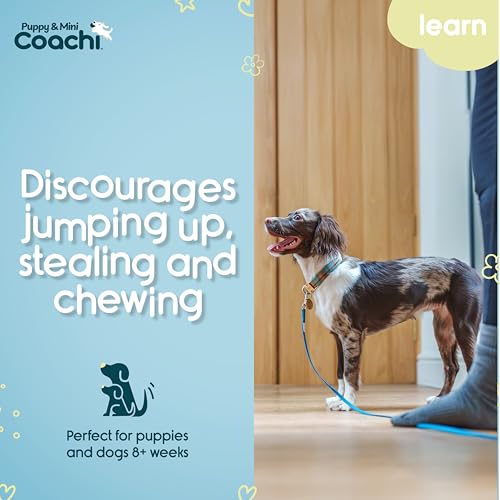 Coachi Puppy & Mini Training Line 2.5m - Toilet Training, Jumping Up, Running Off, Place Avoidance, Chewing, House Manners, Lightweight Indoor House