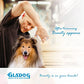 GLADOG Professional 5 in 1 Dog Grooming Scissors Set with Safety Round Tips, Sharp and Heavy-duty Pet Grooming Shears for Cats