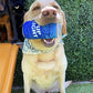 Nestpark Pup Light and Pups Blue Rubbin - Parody Beer Dog Toys - Funny Plush Squeaky and Crinkle Dog Toys Dog Gifts for Dog Birthday (2 Pack) (Mix)