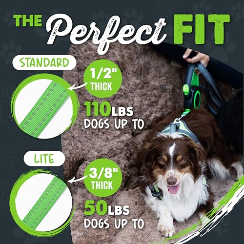 Mighty Paw Retractable Dog Leash 2.0 | 16' Heavy Duty Reflective Nylon Tape Lead for Pets up to 0-50 lbs. Tangle Free Design W/One Touch Quick-Lock