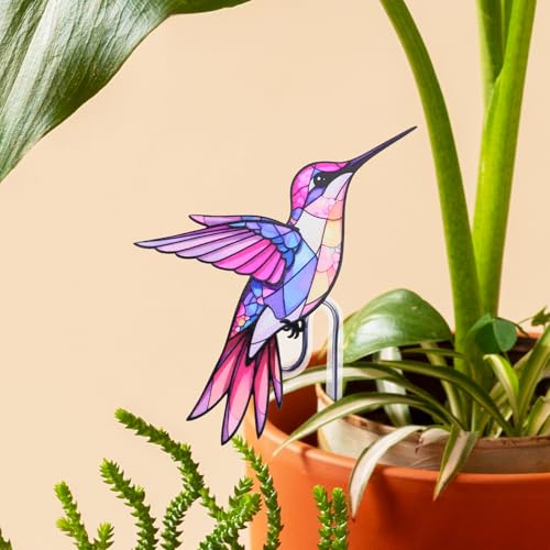 Hummingbird Gifts for Women, Hanging Plant Planter for Indoor Outdoor Garden, Mothers Day Birthday Gifts for Mom Grandma from Daughter Son, Bird Lover Plant Pots Accessories