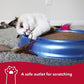 Coastal Pet Turbo Scratcher Cat Toy - Cardboard Cat Scratcher Pad with Cat Toy Ball Track and Catnip (1 Pack)
