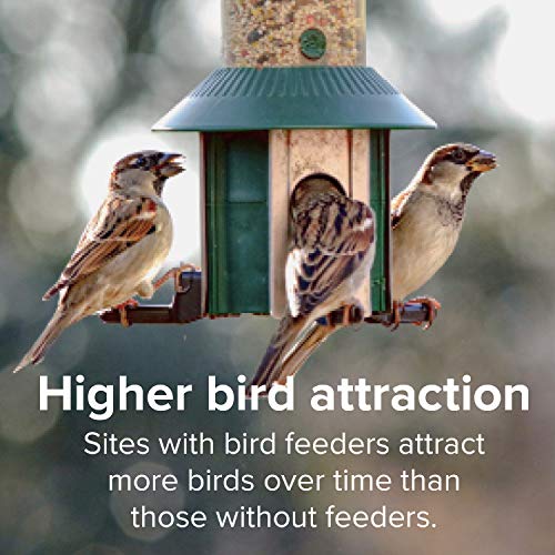 Blue Seal Nature's Choice Wild Bird Seed | High Energy Mix, No Filler | Sunflower and White Safflower Seeds | Attracts Variety of Wild Outside Birds | Shell-Free Mix | Made in USA | 8 Pound Bag