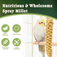 RANZ 5LBS Spray Millet Treat for Pet Birds, Hand-Harvested Bird Snack, Natural Sun-Dried Millet Spray for Parakeets, Parrots, Cockatiels, Lovebirds, Budgies, Finches, Canaries
