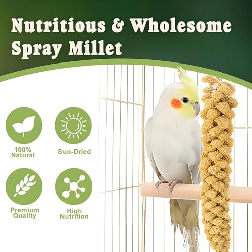 RANZ 5LBS Spray Millet Treat for Pet Birds, Hand-Harvested Bird Snack, Natural Sun-Dried Millet Spray for Parakeets, Parrots, Cockatiels, Lovebirds, Budgies, Finches, Canaries