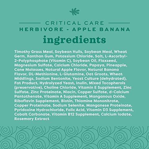 Oxbow Critical Care Herbivore, Emergency Guinea Pig Food, Rabbit Food for Recovery, Natural Apple Banana Flavor, Critical Care for Guinea Pig Emergency Kit, Made in USA, 141 Grams