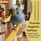 S&X Small Bird Perch Covers, Sand Perch Covers Sandpaper for Budgies, Canaries, Parakeets, Lovebirds and Other Small Birds, 6-Pack
