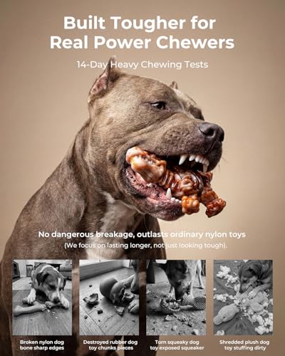 2 Pack Indestructible Dog Chew Toys for Aggressive Chewers: Ultra-Dense Nylon, Bacon Flavor Chew Bones, Heavy Duty Tough Toys for Large Dogs 20-90 lbs, Long Lasting & Keep Them Busy (XL)