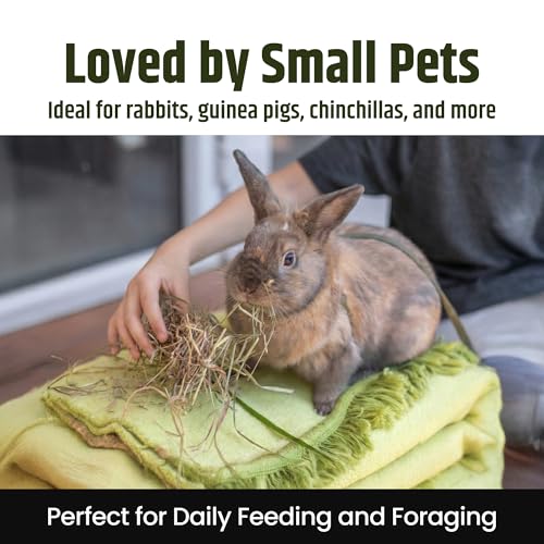 High Desert 2nd Cutting Timothy Hay for Rabbits, Guinea Pigs, Chinchillas and Small Pets, Soft Leafy for Daily Feeding and Digestive Health, Natural Rabbit Food and Guinea Pig Hay for Hay, 4 Lb Box