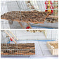 2 Pack 12 x 8 Inch 100% Natural Cork Perch, Bird Cork Seat Boards, Birdcage Bark Decor Accessories for Birds Parakeets Budgie Parrot Cockatiel Hamster Guinea Pig Rat
