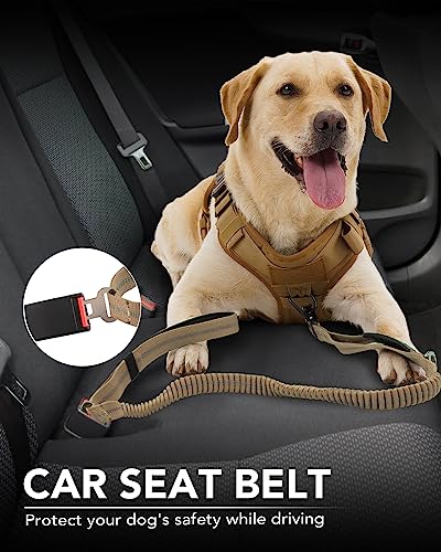 Joytale Tactical Dog Leash Heavy Duty, 4-6FT Shock Absorbing Bungee Lead with 2 Padded Handle, Metal Carabiner Clip, Car Seatbelt, Strong No Pull