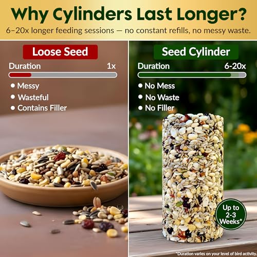 Woodpecker Bird Seed Cylinders with Hole – Premium Woodpecker Food Blend with Sunflower Chips, Peanuts & Suet – Natural High Energy Bird Seed, No Filler, No Shell, No Mess – USA Made (4" x 7.75")