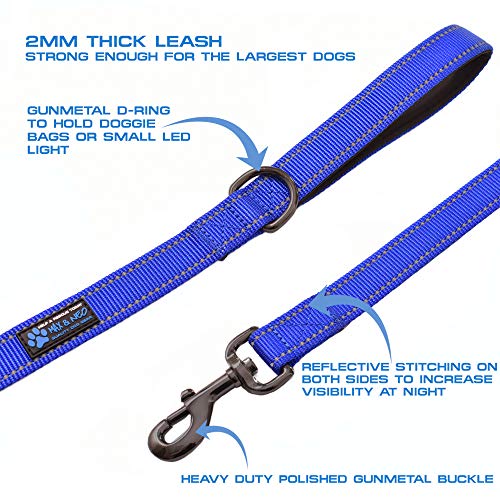 Max and Neo™ Double Handle Traffic Dog Leash Reflective - We Donate a Leash to a Dog Rescue for Every Leash Sold (Blue)