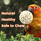 4PCS Bird Toys Sola Balls 2.36'' - Bird Foraging Toy, Sola Atta Ball, Parrot Chew Shred Toy for Sharpening Claws & Beaks for Cockatiel, Parakeets, Conure, Love Birds, Budgie and Small Birds