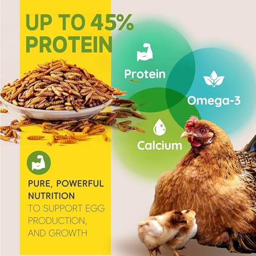 5LB Non-GMO Dried Black Soldier Fly Larvae for Chickens 45% Protein High Calcium Chicken Feed Alternative to Mealworms, Dried BSF Larvae Chicken Treats for Laying Hens Ducks Birds Reptiles