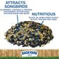 CountryMax Backyard Seeds Songbird Blend Wild Bird Seed – 50 lb Bag – Premium Mix with Sunflower Seeds, Safflower, Peanuts, Millet – Attracts Cardinals, Finches, Chickadees, and More