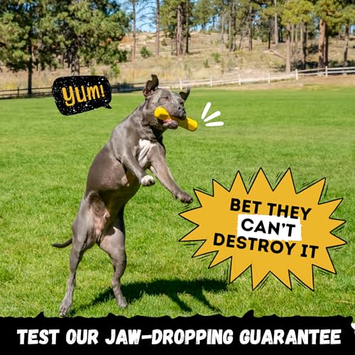 Indestructible Stick Dog Toy - Lifetime Replacement - Durable Chew Toy for Aggressive Chewers - Safe Non-Toxic Natural Rubber - Chew Tug & Fetch