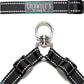 Caldwell's Pet Supply Co. Leash Coupler, Two Dog Leash Splitter to Split Leashes for Walking 2 Dogs, Tangle Free Double Dog Leashes Connector
