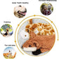 Nocciola Dog Squeaky Toys, 5 PCS Crinkle Plush Dog Toys, No Stuffing Dog Toys for Small Medium Large Dogs, Stuffless Puppy Toys for Boredom