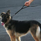 Max and Neo™ Double Handle Traffic Dog Leash Reflective - We Donate a Leash to a Dog Rescue for Every Leash Sold (Blue)
