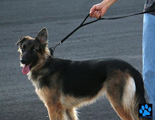 Max and Neo™ Double Handle Traffic Dog Leash Reflective - We Donate a Leash to a Dog Rescue for Every Leash Sold (Blue)