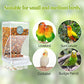 Rypet No Mess Automatic Bird Feeder Transparent Food Container Cage Acrylic Parrot Feeder Accessories for Small Birds Parrot Cockatoo Canary