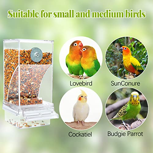 Rypet No Mess Automatic Bird Feeder Transparent Food Container Cage Acrylic Parrot Feeder Accessories for Small Birds Parrot Cockatoo Canary