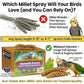 Nemeth Farms Spray Millet - Edible Tops Only, Non-GMO and Sun-Dried - 1 lb for Parakeets, Canaries and Finches