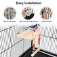 Bird Perches Cage Toys Parrot Wooden Platform Play Gyms Exercise Stands with Acrylic Wood Swing Ferris Wheel Chewing for Animals Green Cheeks, Baby Lovebird, Chinchilla, Hamster Budgie